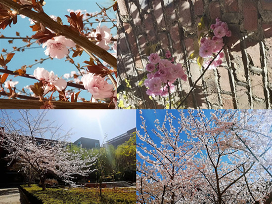 十大菠菜平台排名